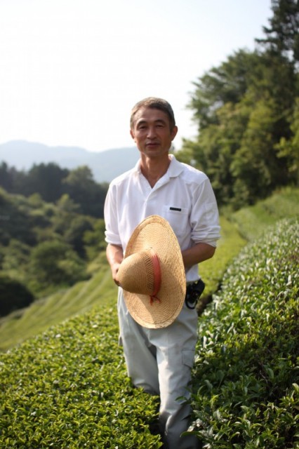 Sugimoto-san Black Tea Farmer