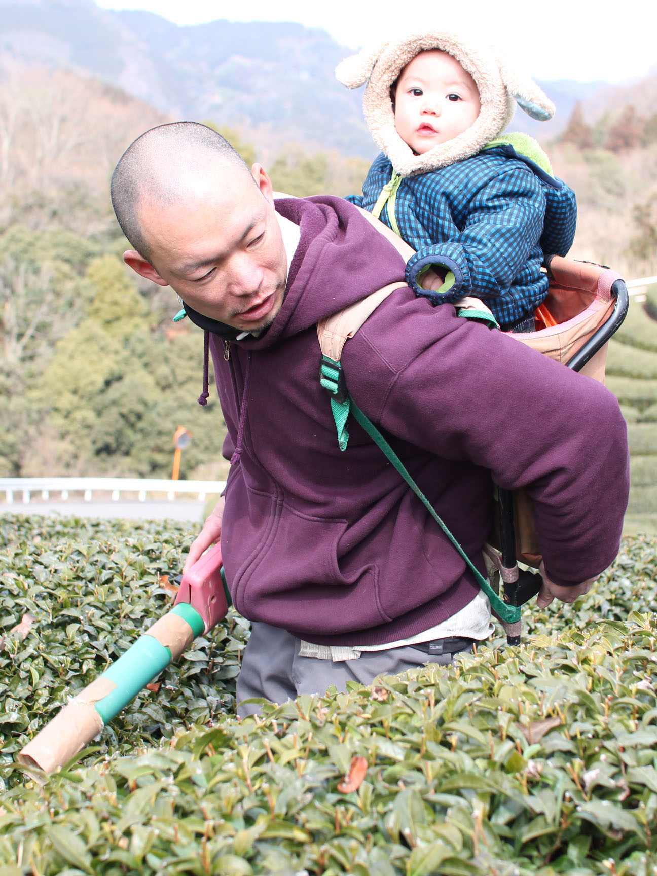 Akky-san Farming Tea