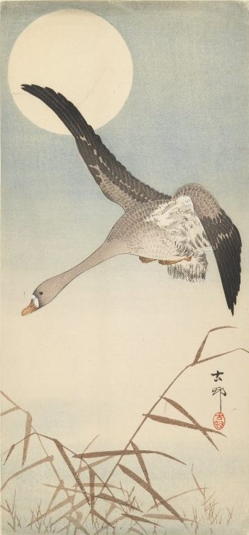 Goose Flying in Moonlight by Ohara Koson, early 20th century woodblock