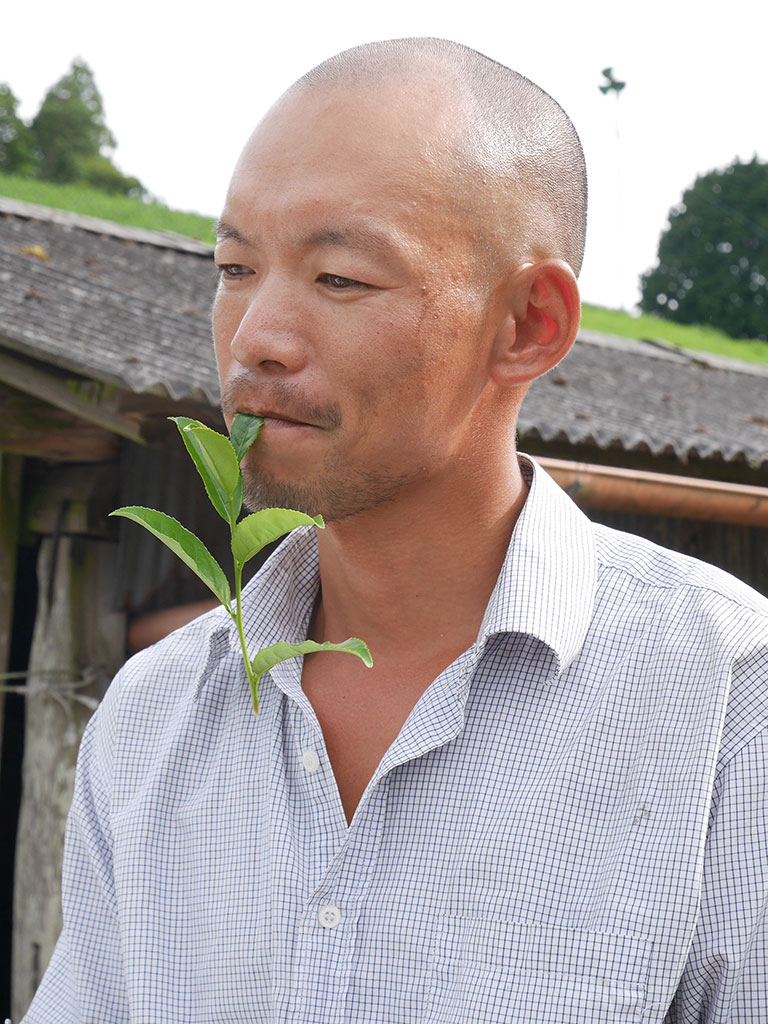 Akky-san Farming Tea