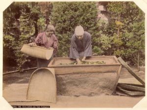 Tea processing in the Meiji period