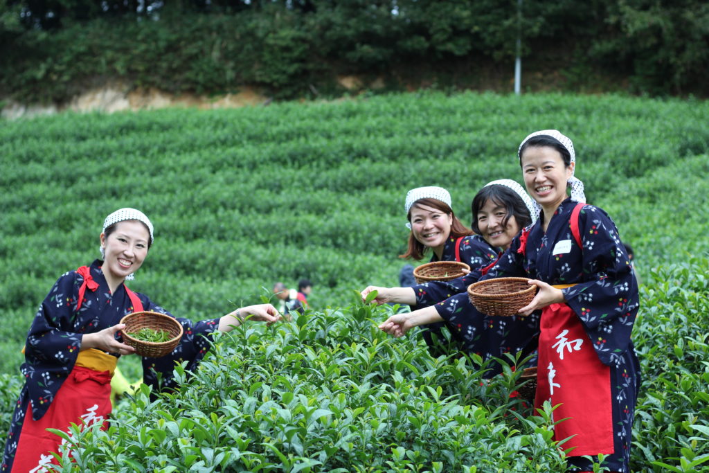Guests cosplaying as tea-picking girls at an Obubu event - you can see the red cords holding back their kimono sleeves, just like in the song!
