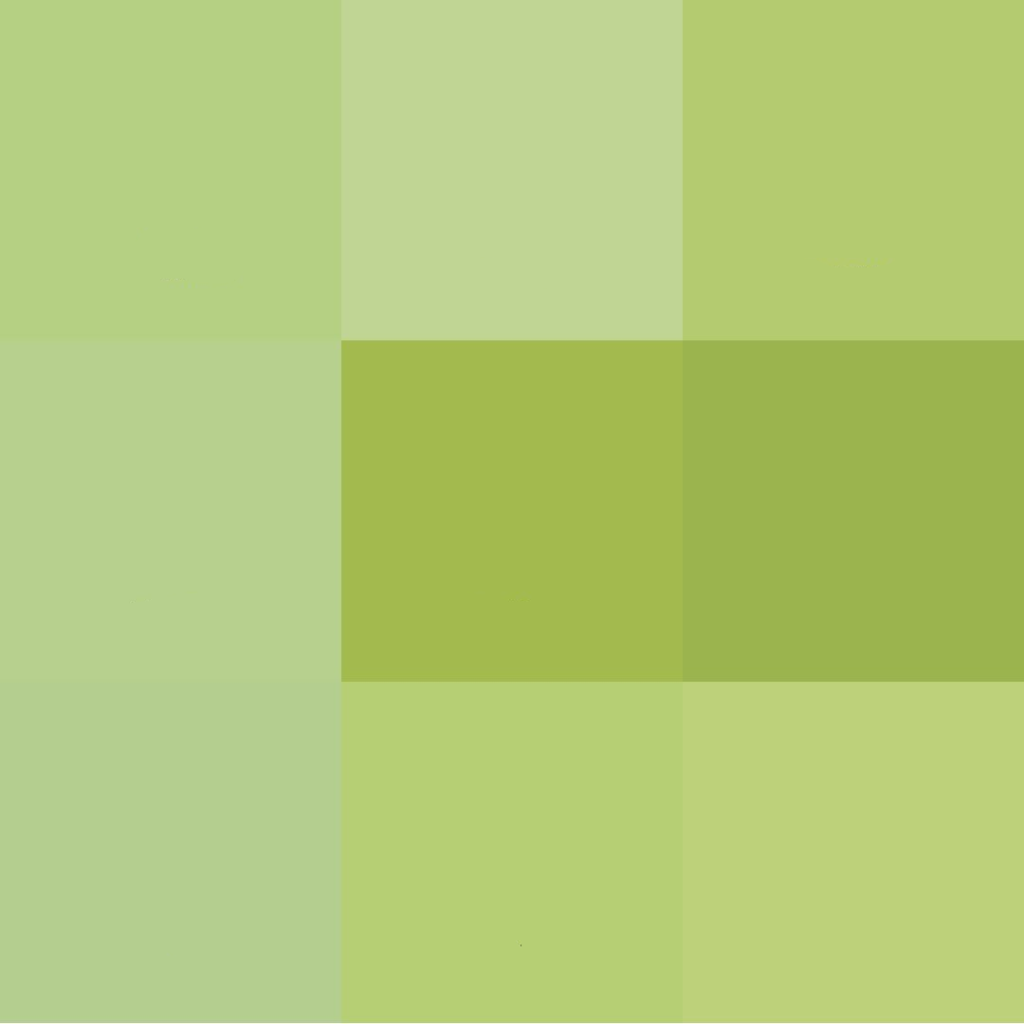 Color Map of Japanese Green Tea