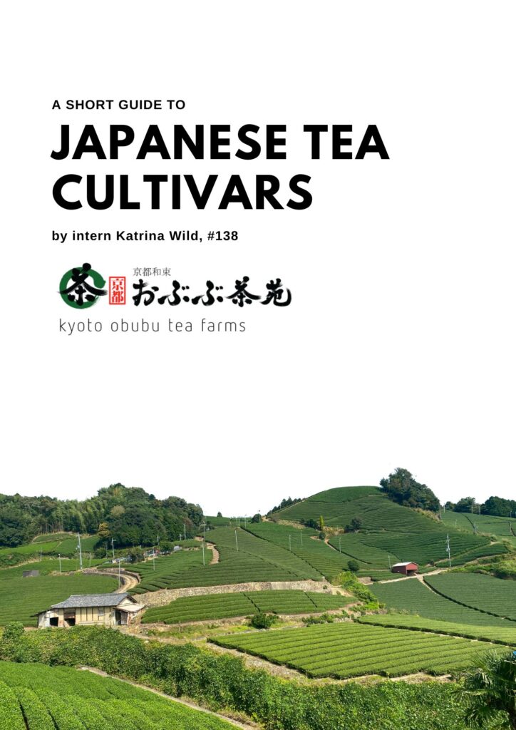 Japanese Tea Cultivars : A Short Guide
