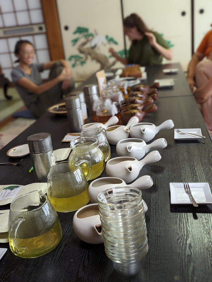 The tasting table prepared with 10 kyusu, 10 pitchers full of brewed tea, and empty teacups and plates