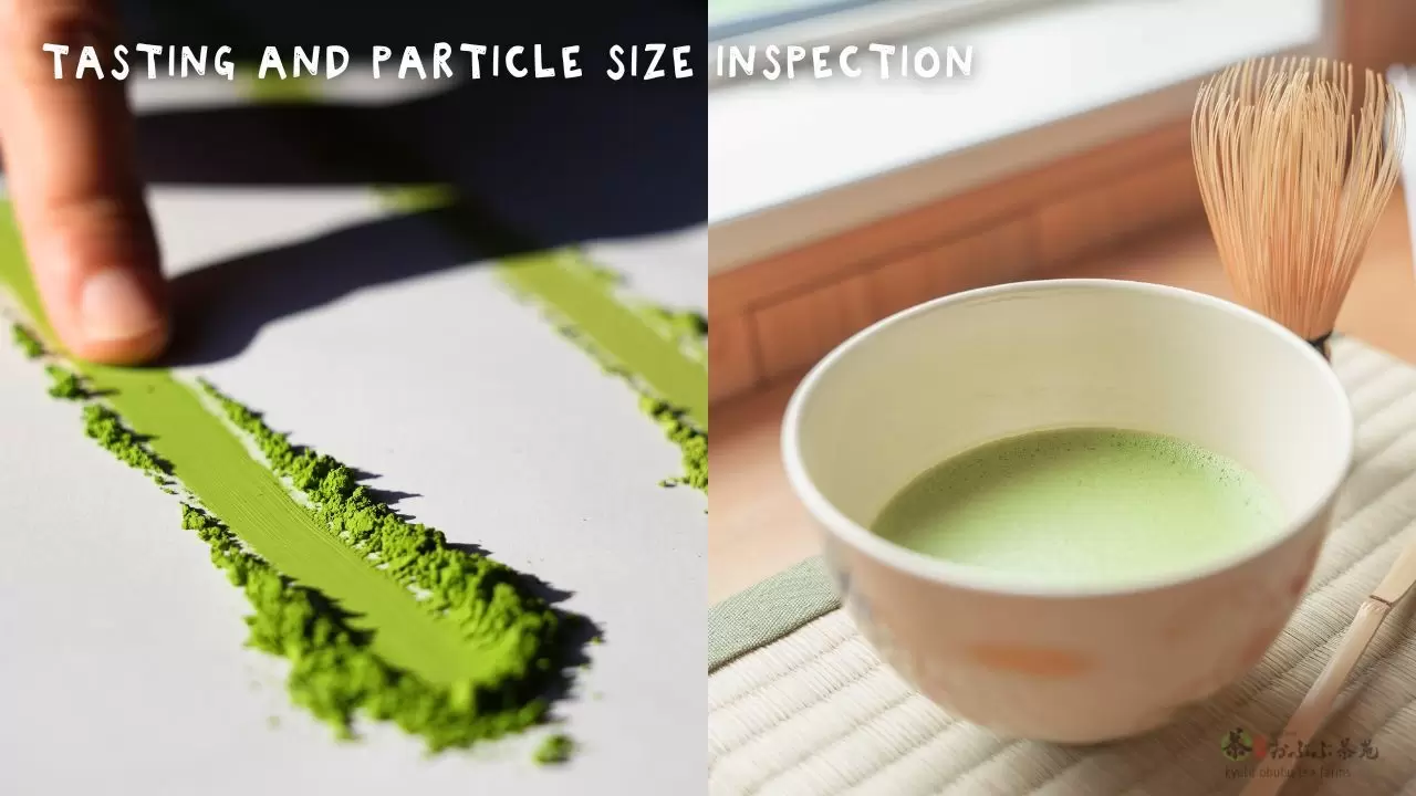 Matcha Factory & Tea Farm Tour – Kyoto Obubu Tea Farms