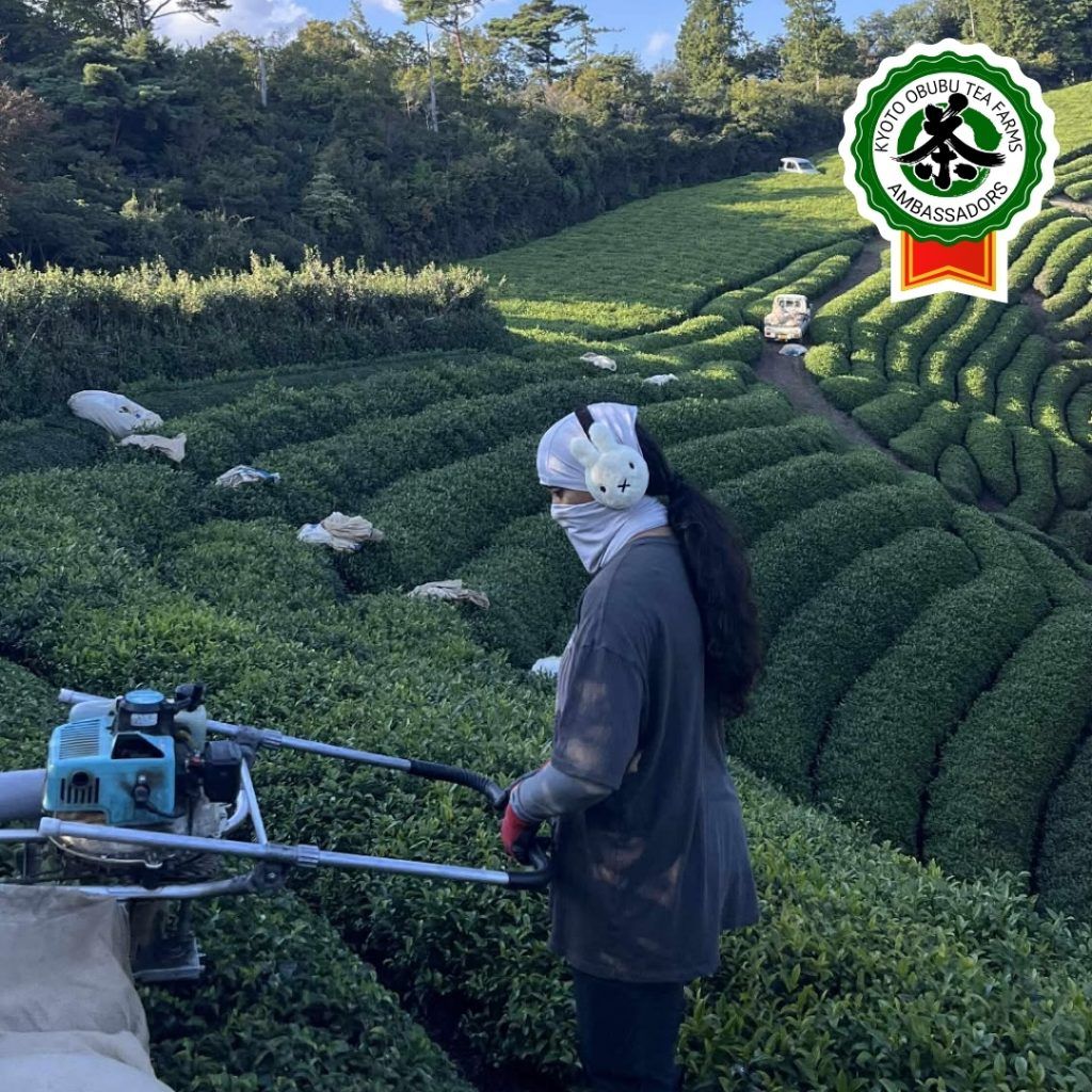 #210 Shannon Parayil (USA)