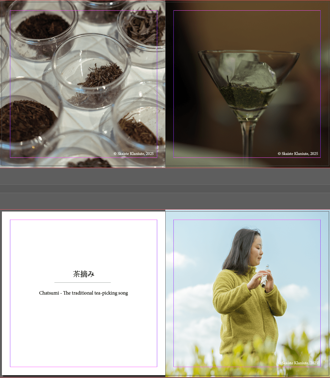 Obubu Vision - "Tea" table book - Image 6
