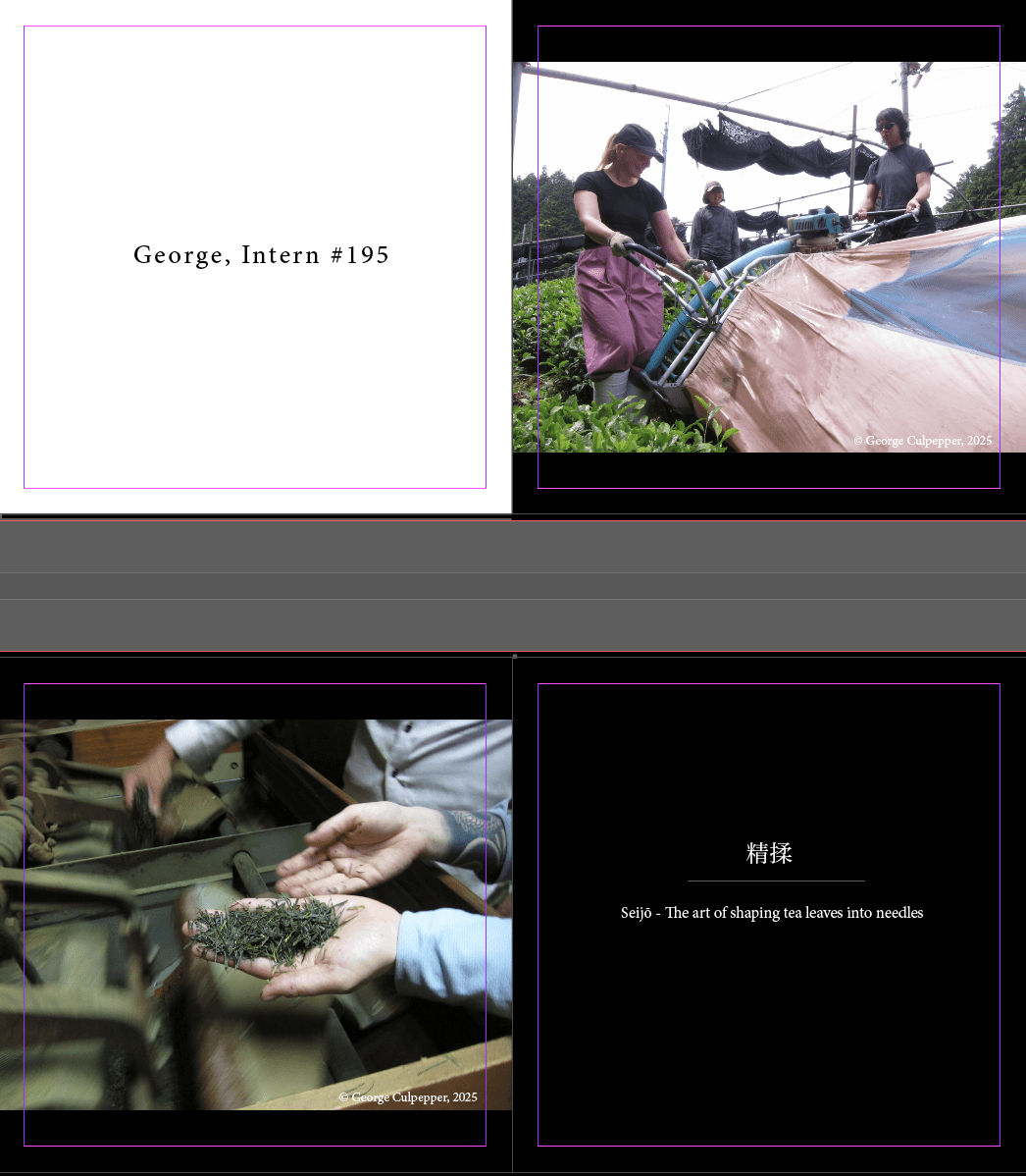 Obubu Vision - "Tea" table book - Image 5