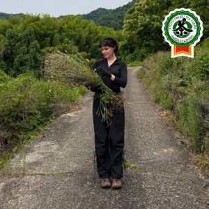 #229 Madeline Raasch (USA)