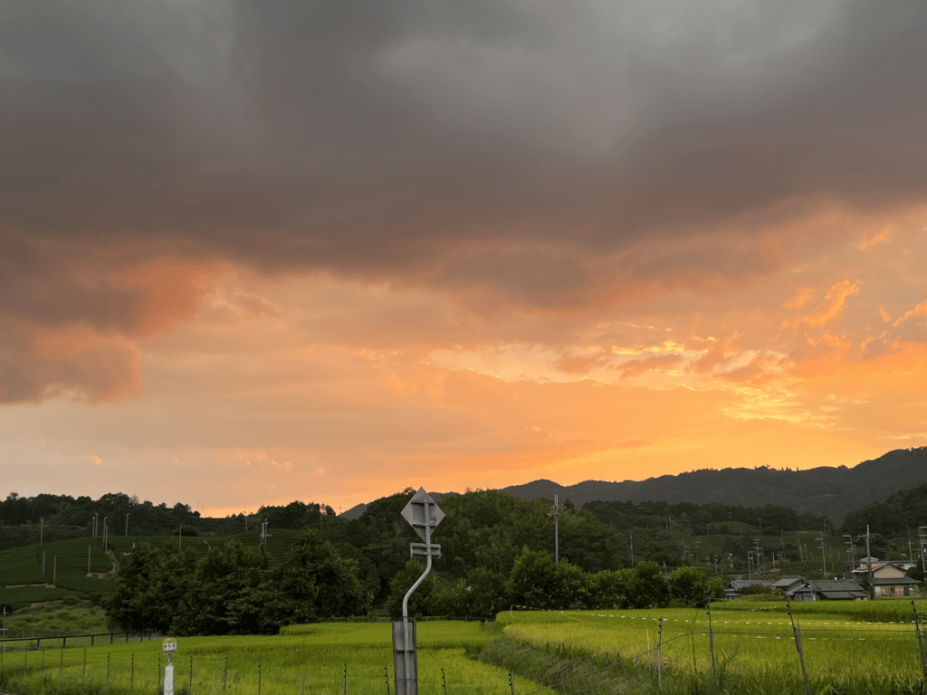 In between lightning and sunset in Wazuka